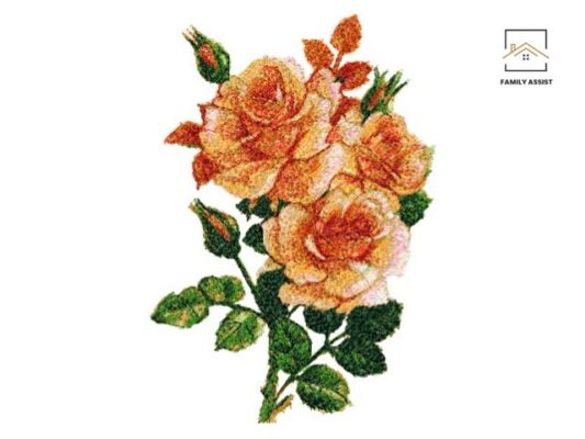 Rosa Embroidery Pattern